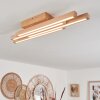 Cajas Taklampa LED Naturfärger, 4-ljuskällor