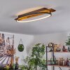 Nevogilde Taklampa LED Naturfärger, 1-ljuskällor