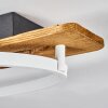 Nevogilde Taklampa LED Naturfärger, 1-ljuskällor