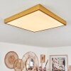 Broglen Taklampa LED Guld, 1-ljuskällor