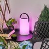Acebal Bordslampa utomhus, lykta LED Svart, Vit, 1-ljuskällor, Färgväxlare