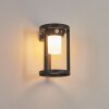Lokpano vägglampa utomhus, Solcellslampa LED Svart, 1-ljuskällor, Rörelsedetektor, Färgväxlare