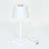 Burzaco Bordslampa utomhus LED Vit, 1-ljuskällor, Färgväxlare