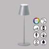 FHL easy Cosenza Bordslampa, Läslampa LED Silver, 1-ljuskällor, Färgväxlare