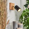 Nazca Vägglampa, Väggspotlight Naturfärger, 1-ljuskällor
