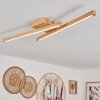 Cajas Taklampa LED Naturfärger, 2-ljuskällor