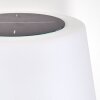 Fisao Golvlampa utomhus LED Svart, 41-ljuskällor, Fjärrkontroll