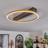 Cajean Taklampa LED Svart, 1-ljuskällor