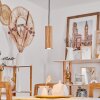 Ripamonti Pendellampa LED Naturfärger, Svart, 1-ljuskällor