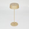 Kouvi Bordslampa utomhus, Bordslampa LED Guld, 1-ljuskällor