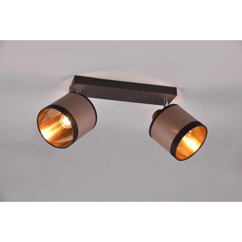 Reality DAVOS Taklampa Taupe, 2-ljuskällor main product photo