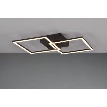 Trio Lampor Trail Taklampa LED Svart, 1-ljuskällor