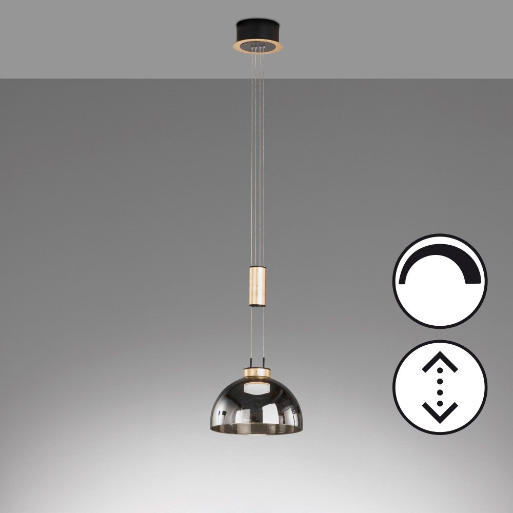 Honsel Lampor Avignon Pendelbelysning LED Svart, 1-ljuskällor main product photo