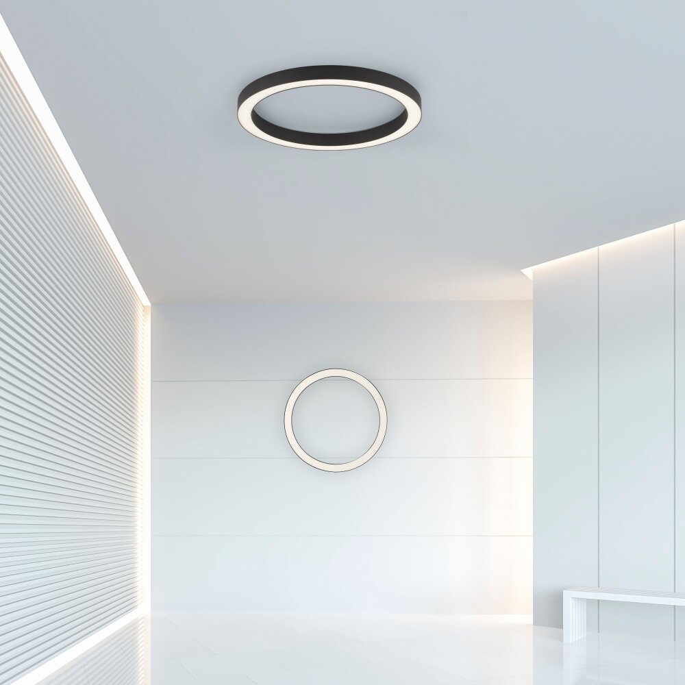 Paul Neuhaus Lampor PURE-LINES Taklampa LED Antracit, 1-ljuskällor, Fjärrkontroll main product photo