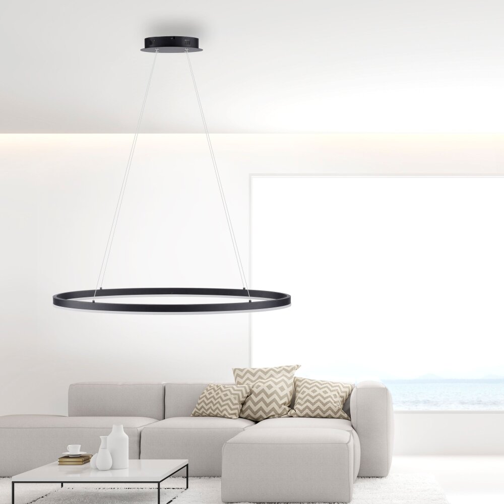 Paul Neuhaus TITUS Pendelbelysning LED Antracit, 1-ljuskällor main product photo