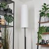 Coquimbito Golvlampa LED Svart, 2-ljuskällor