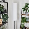 Coquimbito Golvlampa LED Svart, 2-ljuskällor