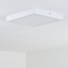 Leto Taklampa för utomhusbruk, Taklampa LED Vit, 1-ljuskällor