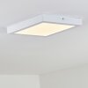 Leto Taklampa för utomhusbruk, Taklampa LED Vit, 1-ljuskällor