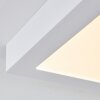 Leto Taklampa för utomhusbruk, Taklampa LED Vit, 1-ljuskällor