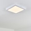 Leto Taklampa för utomhusbruk, Taklampa LED Vit, 1-ljuskällor