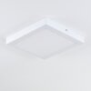 Leto Taklampa för utomhusbruk, Taklampa LED Vit, 1-ljuskällor