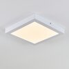 Leto Taklampa för utomhusbruk, Taklampa LED Vit, 1-ljuskällor