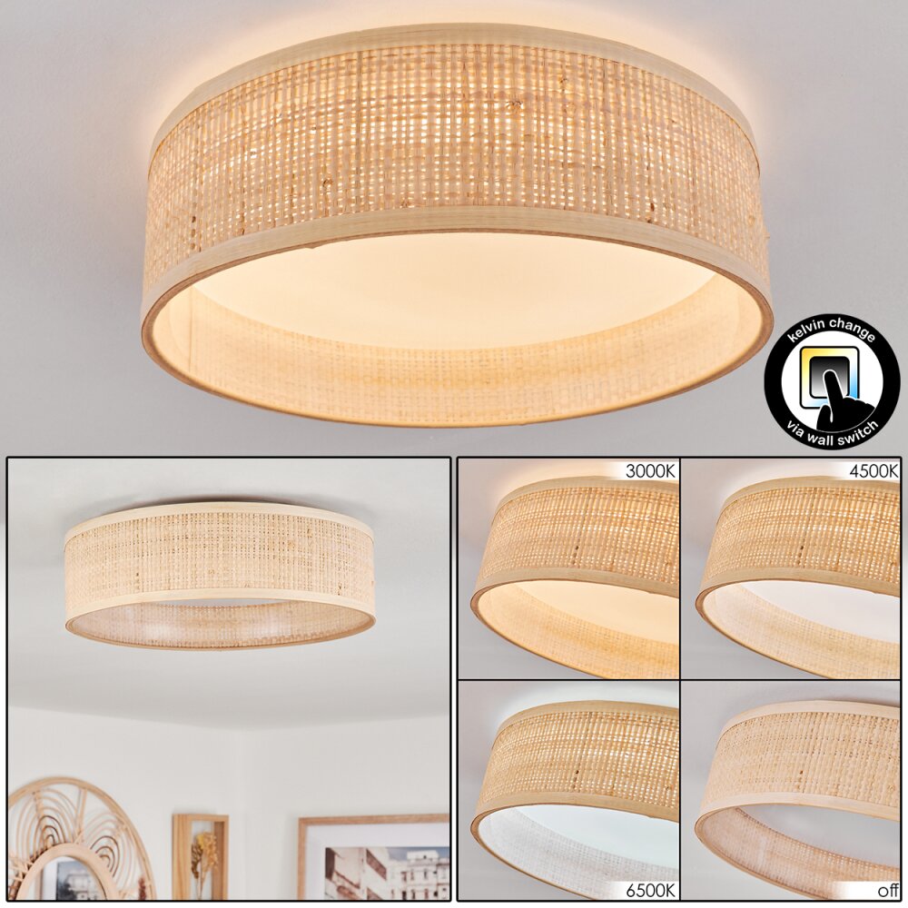 Wynona Taklampa LED Vit, 1-ljuskällor main product photo