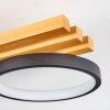 Rodekro Taklampa LED Svart, Vit, 1-ljuskällor