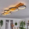 Rodekro Taklampa LED Svart, Vit, 1-ljuskällor