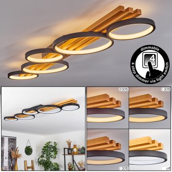 Rodekro Taklampa LED Svart, Vit, 1-ljuskällor