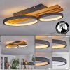 Rodekro Taklampa LED Naturfärger, Svart, 1-ljuskällor