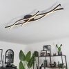 Fuliola Taklampa LED Svart, 1-ljuskällor
