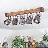 Pehefito Taklampa, Takstrålkastare Brun, Svart, 5-ljuskällor