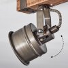 Pehefito Taklampa, Takstrålkastare Brun, Svart, 5-ljuskällor