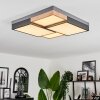Bornos Taklampa LED Antracit, 1-ljuskällor