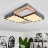Bornos Taklampa LED Antracit, 1-ljuskällor