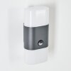 Belerda vägglampa utomhus, Up & Down Lampa LED Antracit, 2-ljuskällor, Rörelsedetektor