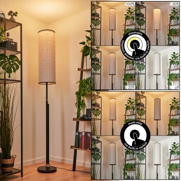 Coquimbito Golvlampa LED Svart, 1-ljuskällor