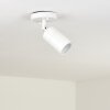 Aketohoin Taklampa för utomhusbruk, Taklampa LED Vit, 1-ljuskällor
