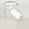 Aketohoin Taklampa för utomhusbruk, Taklampa LED Vit, 1-ljuskällor