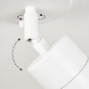 Aketohoin Taklampa för utomhusbruk, Taklampa LED Vit, 1-ljuskällor