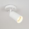 Aketohoin Taklampa för utomhusbruk, Taklampa LED Vit, 1-ljuskällor