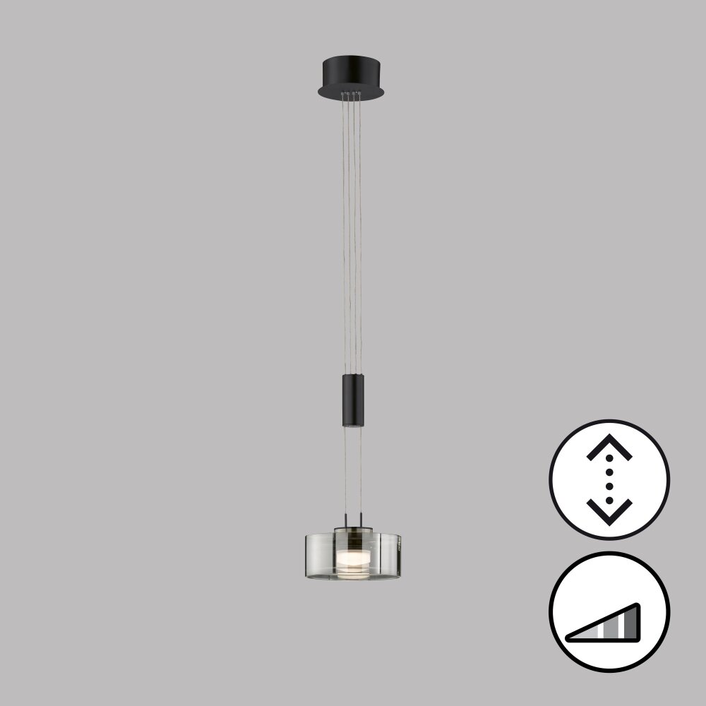 Honsel Lampor Lavin Pendelbelysning LED Svart, 1-ljuskällor main product photo
