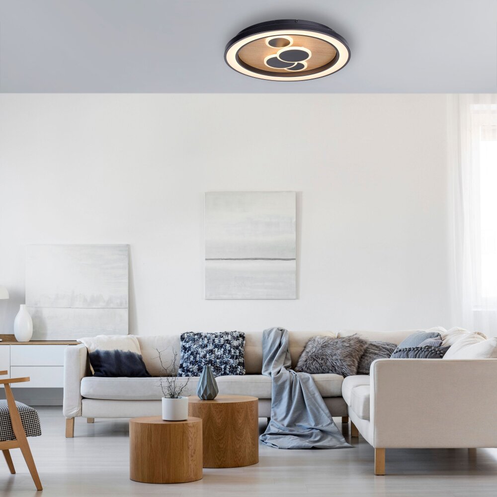 Paul Neuhaus ELIZA Taklampa LED Naturfärger, 2-ljuskällor main product photo