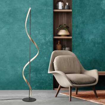 Paul Neuhaus Q-Serie Q-SWING Golvlampa LED Antracit, Guld, 1-ljuskällor, Fjärrkontroll