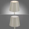 Leuchten Direkt EURIA Bordslampa LED Grått, 1-ljuskällor