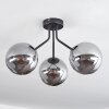 Gastor Taklampa 15 cm Svart, 3-ljuskällor