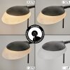 Biot Golvlampa LED Svart, 2-ljuskällor