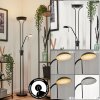 Rom Golvlampa LED Svart, 2-ljuskällor